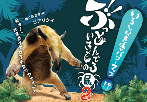 ぶっとんでるいきもの展２