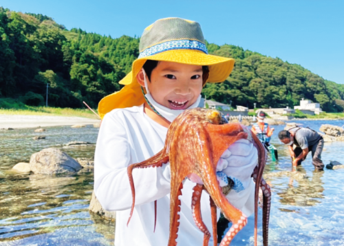 磯ダコ捕りツアーの様子