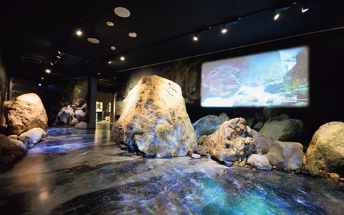 「フォッサマグナミュージアム」招待券