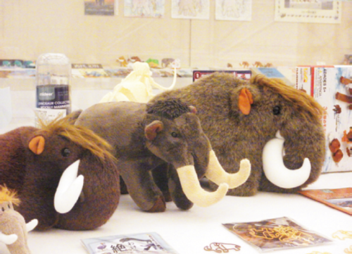 昨年度の展示より（むかしのぞうのコレクション）