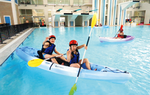 ダイエープロビスデー