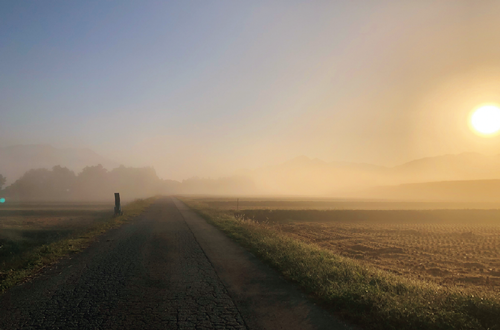 関川村の自宅前の風景
