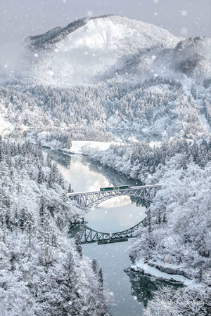 「International Photography Awards 2022」ネイチャー部門最優秀賞 撮影者：亀山 岳史