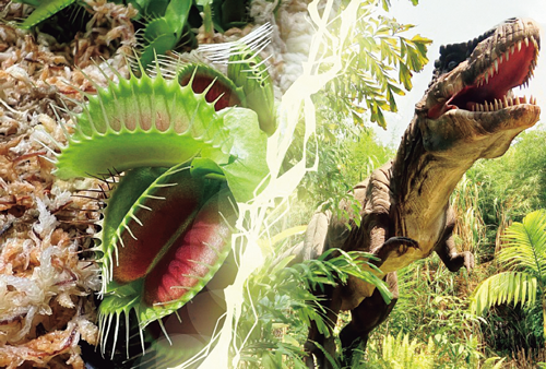 食虫植物展・恐竜と花展
