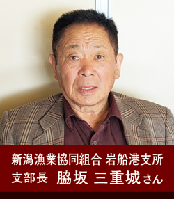 新潟漁業協同組合 岩船港支所 支部長 脇坂 三重城さん