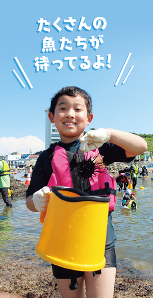 たくさんの魚たちが待ってるよ！