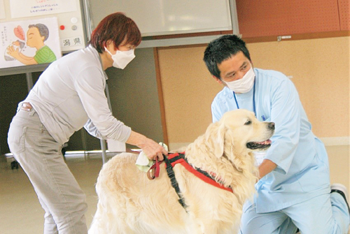 犬の飼い方・しつけセミナー