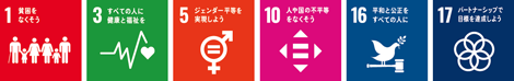 目標 1：貧困をなくそう/目標 3：すべての人に健康と福祉を/目標 5：ジェンダー平等を実現しよう/目標 10：人や国の不平等をなくそう/目標 16：平和と公正をすべての人に/目標 17：パートナーシップで目標を達成しよう