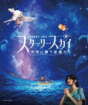 スターリー スカイ 天空に舞う星座たち