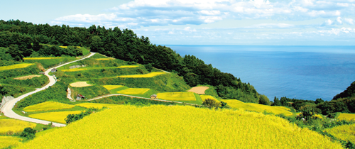 片野尾棚田
