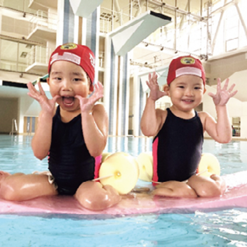 ダイエープロビスデー