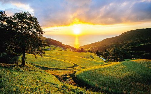 佐渡市・岩首の棚田