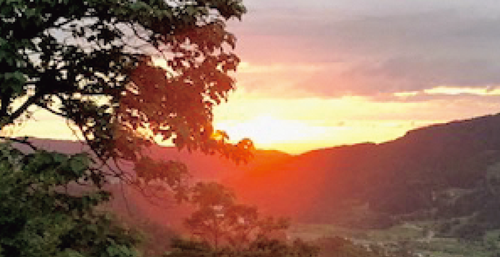 糸魚川市・東塚の棚田にて